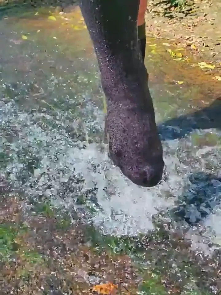 Waterproof socks test media frame